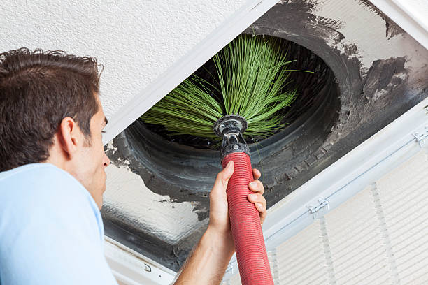 Best Mold and Mildew Removal from Ducts in La Mesilla, NM