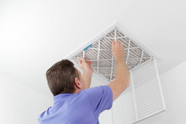 Best Ductwork Odor Removal in La Mesilla, NM